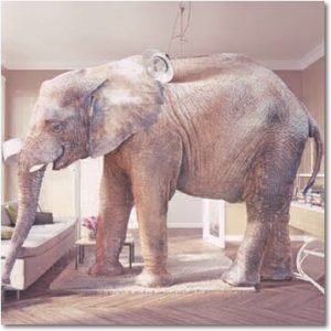 Traumdeutung am Telefon online